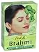 Hesh Brahmi Herbal Powder 100g (Pack of 2)