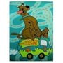 SCOOBY DOO ROYAL PLUSH RASCHEL THROW BLANKET