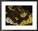 Ceiling of Church of Our Lady of Czestochowa, Nowa Huta, Krakow, Poland Architecture Framed Art Poster Print by Krzysztof Dydynski, 22x18