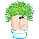 Review Toyday  / Mr Grasshead