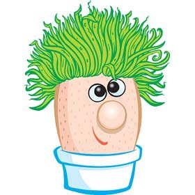 Childrens Toyshop  Third Party New : Mr Grasshead