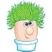 Mr Grasshead