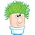 Mr Grasshead