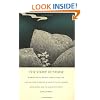 The Story of Stone: Intertextuality, Ancient Chinese Stone Lore, and the Stone Symbolism in <I>Dream of the Red Chamber</I>, <I>Water Margin</I>, and ... West</I> (Post-Contemporary Interventions)