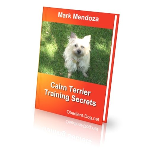Cairn Terrier Training Secrets