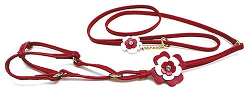 BIRDIE シフォン胴輪リード L ワインレッド 952