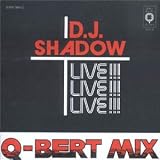 Click for more about DJ Shadow: Camel Bobsled Race.