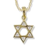 Speckled Diamond (.08 ctw) Star of David in 14k Yellow Gold