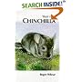 Your First Chinchilla (Your First...series)
