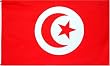 Tunisia National Country Flag - 3 foot by 5 foot Polyester (New)