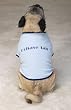 X-SMALL - BLUE - Humorous Doggy Tee's X-SMALL - BLUE - Humorous Doggy Tee's