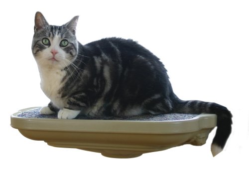 Childrens Toyshop  Pet Supplies : Omega Paw Window Seat - Assorted Colors