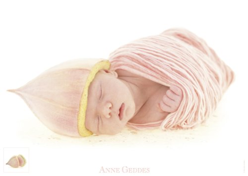 Schmidt Spiele 57986 - Puzzle, Anne Geddes, Eukalyptusknospe, 1000 Teile Preisvergleich