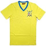 RICH YUNG リッチ ヤング キング オブ ザ Vネック S/S Tシャツ ブラジリアンイエロー ファボラス