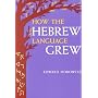 How the Hebrew Language Grew