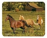 HORSE Glass CUTTING BOARD Western Kitchen decor NEW art
