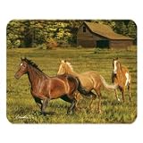 HORSE Glass CUTTING BOARD Western Kitchen decor NEW art by Cypress/Evergreen