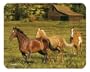 HORSE Glass CUTTING BOARD Western Kitchen decor NEW art