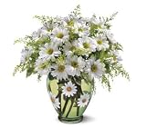 Teleflora's Crazy for Daisies Bouquet