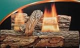 Gas Logs