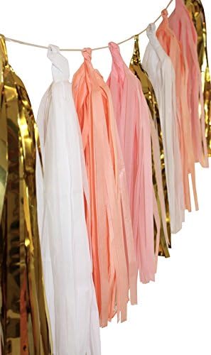 Tissue Paper Tassel Garland - Birthday, Baby Shower, Wedding, Graduation Party Peach/Gold Garland Bunting Pom Pom - 20 Tassels