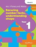 Securing Number Facts, Understanding Shape: Year 1 (New Framework Maths)