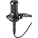 Audio Technica AT2050 Condenser Microphone