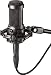 Audio Technica 20 Series AT2050 Multi Pattern Condenser Microphone