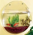 Fish Bubbles - Wall Hanging Fish Tank - 6.7L