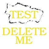 Supreme Court of Illinois, Third Grand Division, Ottawa, April term, A.D. 1866, Franklin Parmelee, David A. Gage, Walter S. Johnson, appellants, vs. Daniel ... appellee: Brief and points for appellee