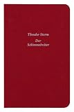Der Schimmelreiter - Theodor Storm