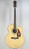 Fender Acoustics CD-290SCE NAT