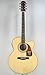 Fender Acoustics CD-290SCE NAT
