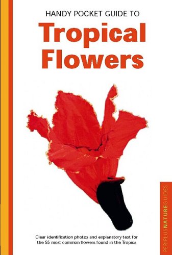 Handy Pocket Guide to Tropical Flowers (Periplus Nature Guides) under General in The Books Store