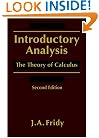 Introductory Analysis, Second Edition: The Theory of Calculus