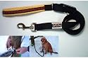 Spiffy Dog Let'Em Lead Dog Leash 'Yellow Sunfire' (1" width) - matching collar available