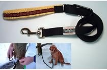 Spiffy Dog Let'Em Lead Dog Leash 'Yellow Sunfire' (1" width) - matching collar available