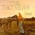 Tracy Nelson Country