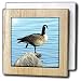Canada Goose Photographed by Angelandspot - 6 Inch Tile Napkin Holder