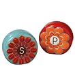 Flower Salt and Pepper Shakers Daisy Do