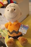 Charlie Brown Peanuts Stuffed Plush Character From the Kohl's Cares for Kids Series