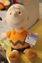 Peanuts CHARLIE BROWN 12" Plush Doll Kohl's Kohls
