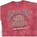 Grateful Dead 'Capitol Theatre New York' red tie-dye t-shirt