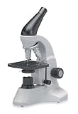 Cordless 40x, 100x, 400x, and 1000x magnification compound microscope