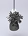 Black Foil Balloon Weight (4.5