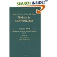 Metabolism of Amino Acids and Amines, Part B, Volume 17B: Volume 17B: Metabolism of Amino Acids and Amines (Methods in... by Nathan P. Kaplan, Nathan P. Colowick, Herbert Tabor, and Celia White Tabor