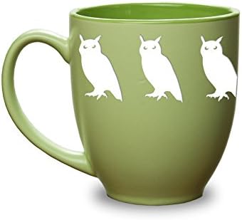 Glass Graphics Owl 15 oz Pastel Light Green Mug with Green Interior