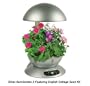 AeroGarden 900214-1200 3 with 3-Pod English Garden Flowers Seed Kit, Silver