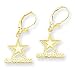 Jewelry : 14k NFL Cowboys Leverback Earrings