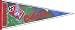 Tennessee Oilers 1997 Inaugural Season NFL Pennant